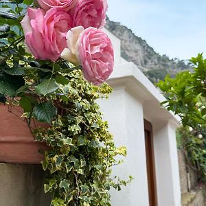 Il Cigno B&B
